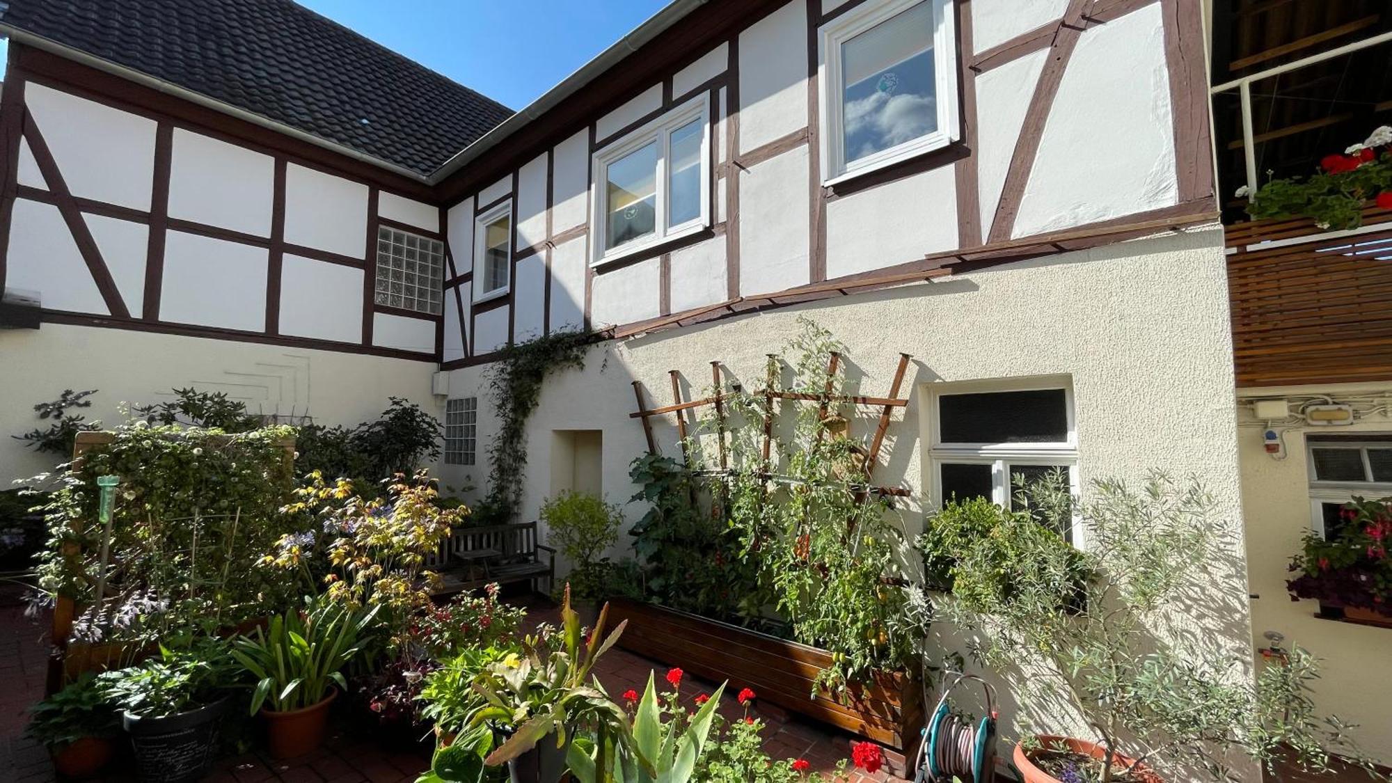 Ferienwohnung Am Schmetterlingssteig Trendelburg Екстериор снимка